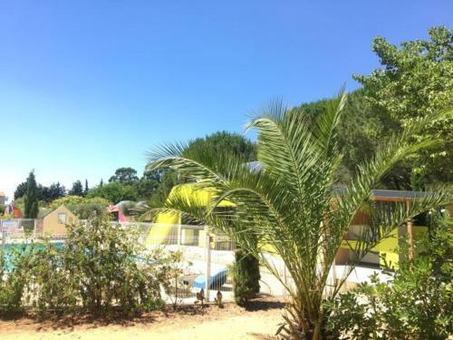 Budget Glamping Safaritent - Mas de Mourgues