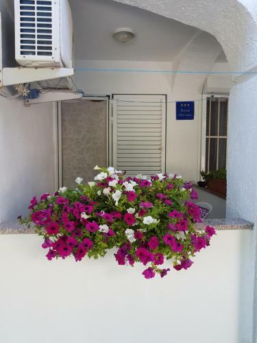 Apartman Luka