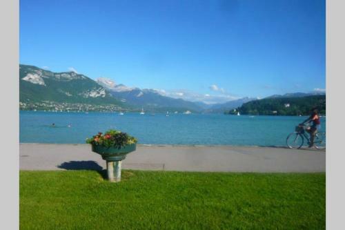 Apartamento Studio Meubl� Id�alement Situ�
