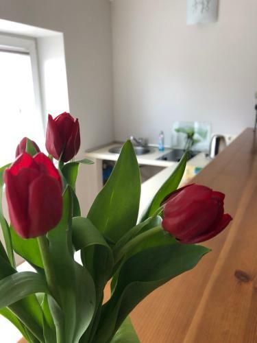 Laima Apartment