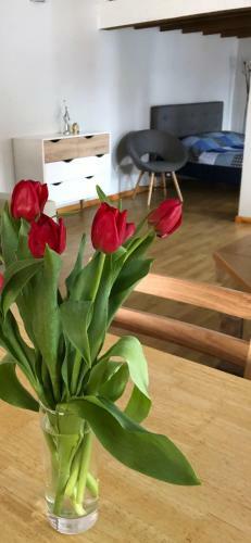 Laima Apartment