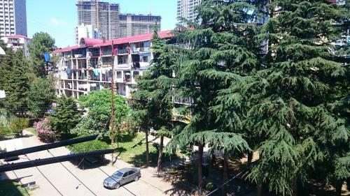 Comfortable Apartment In Batumi