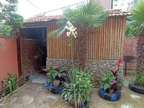 Hostal Ketis Guest House