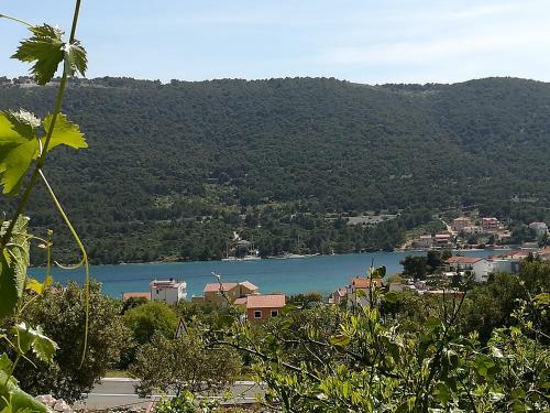 Apartmani Vito