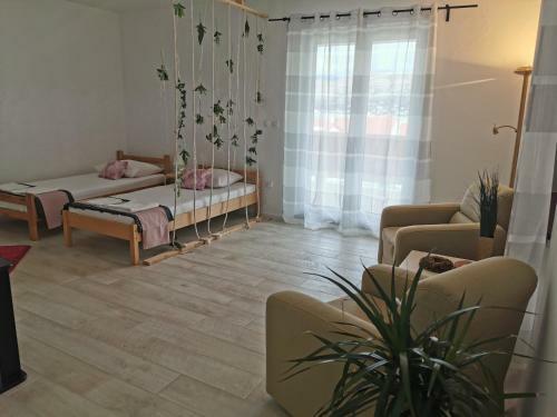 Apartments Lucia