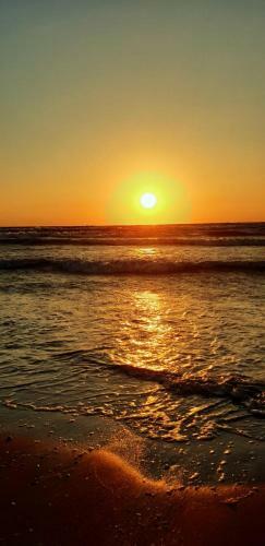 Apartamento Coral Residence -mamaia Nord