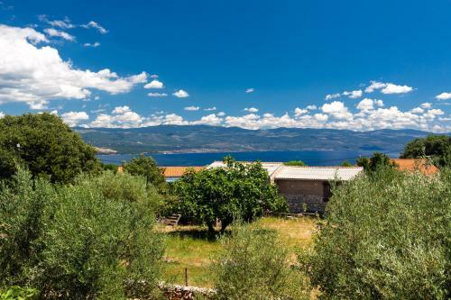 Apartman Brigitte