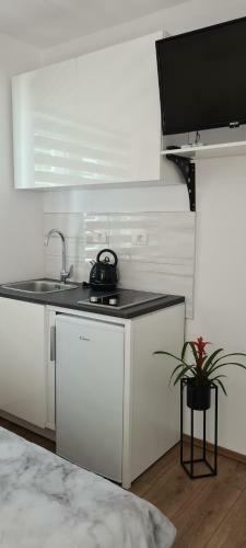 Studio Apartman Gr?eti?