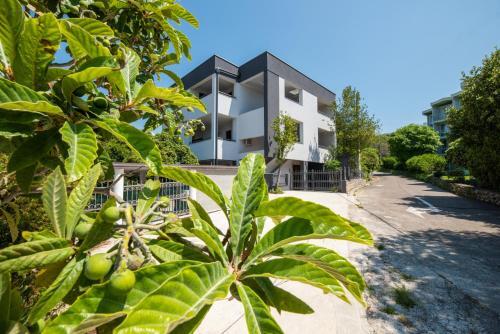 Apartments Barka