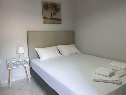 Smart Luxury Apartment