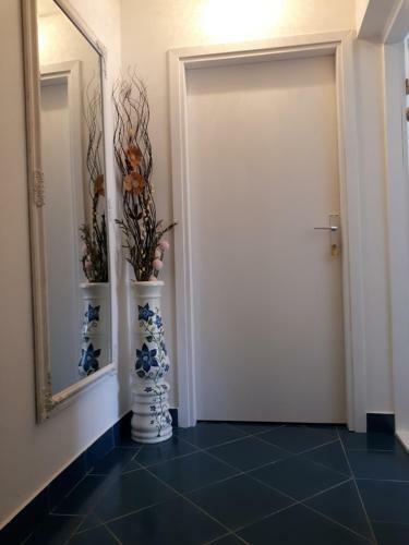 Apartment Ivana