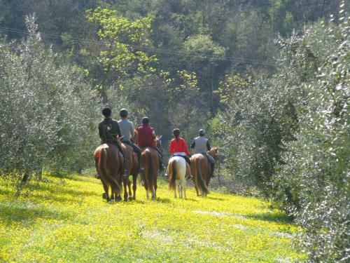 Bed & Breakfast Paglia E Fieno