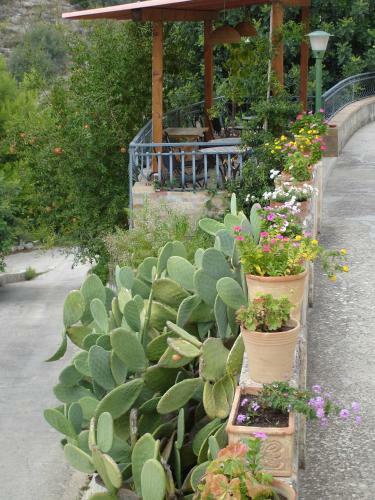 Bed & Breakfast La Suma Sumalia