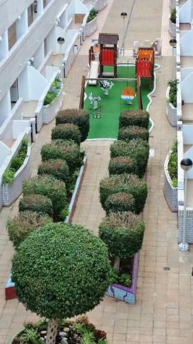 Apartamentos Cosmos