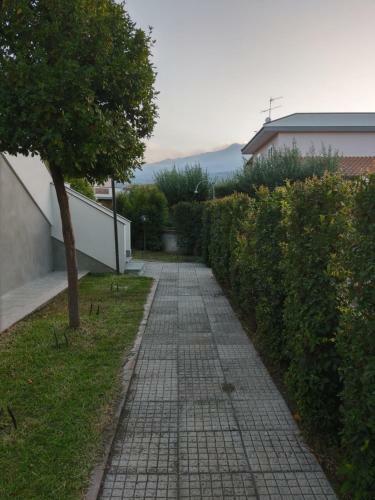 Sicily For Rent
