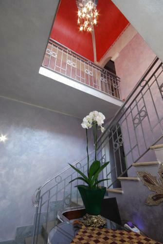 Hostal Mal� Suites