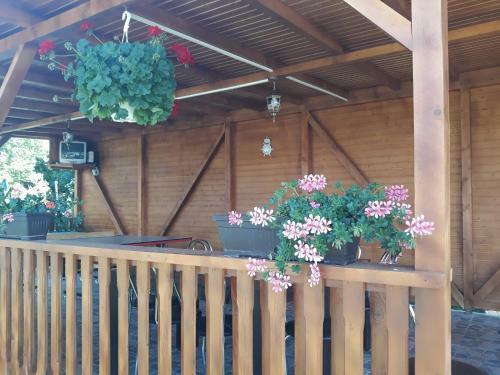 Hostal Casa Cu Flori
