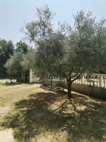 Apartamento Dvori