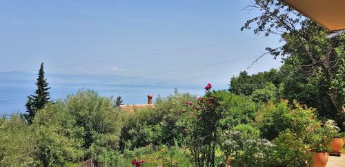Apartman Ana