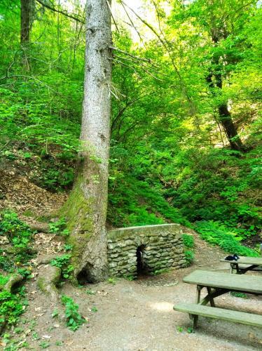 Bed & Breakfast Lory Tra Monti E Laghi