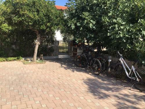 Apartments P&l - 25m From Beach
