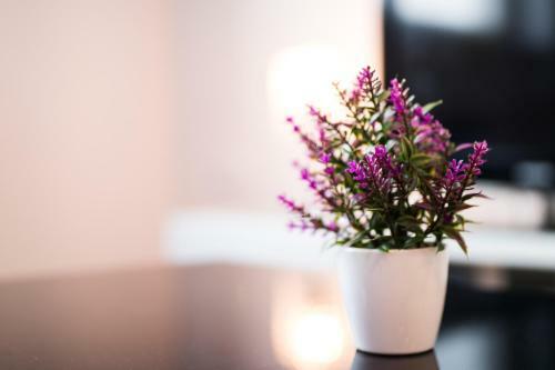 Apartament Prestige Old Town