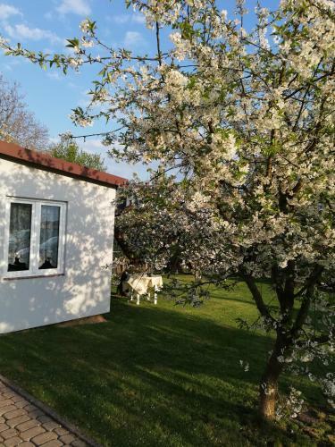 Apartamento Miwa - Pokoje Do Wynaj?cia