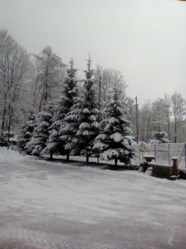 Hotel Fior Di Roccia