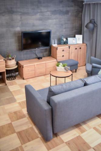 Apartament Aviator
