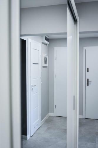 Apartament Aviator