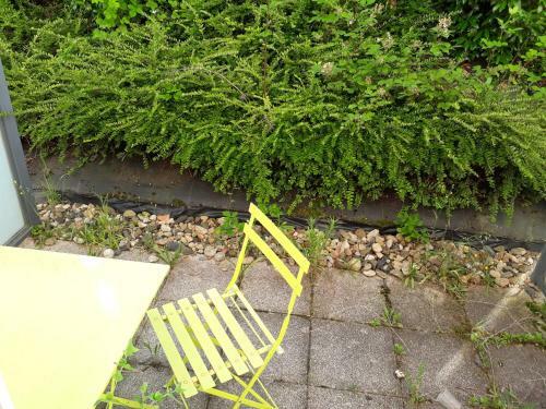 Apartamento Studio Calme Face � L?h�pital Nord.