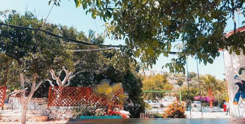 Social Camping Jal