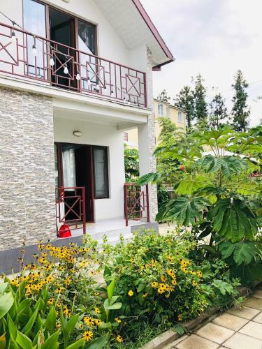 Apollo Cottages