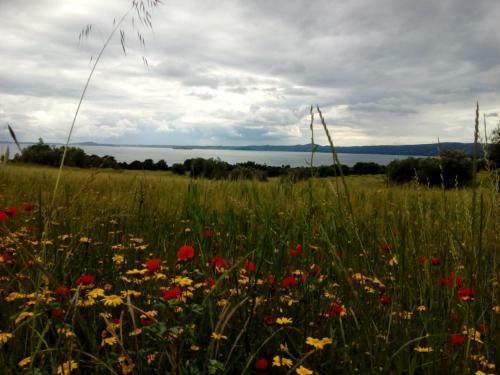 Bed & Breakfast Antico Borgo