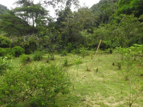 Albergue Tunky Wasi - Sapan Sachayoc