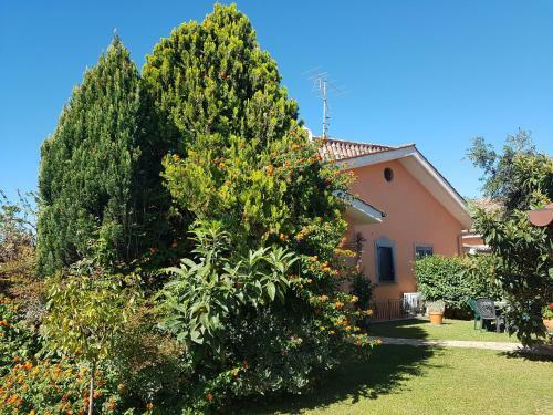 B&B Sedici Pini