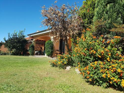 B&B Sedici Pini