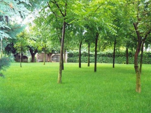 Agroturismo Agriturismo Corte Trincerone