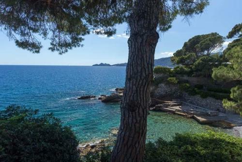 Apartamento Castello Canevaro
