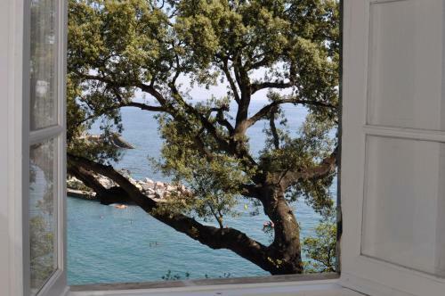 Apartamento Castello Canevaro