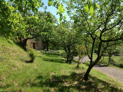Agroturismo Agriturismo Il Picchio Verde