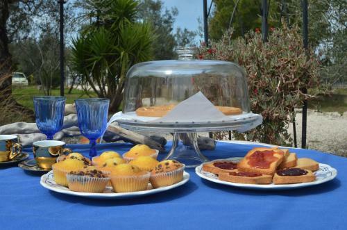 B&B Villa M�diterran�e