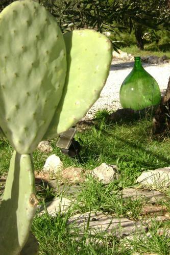 B&B Villa M�diterran�e