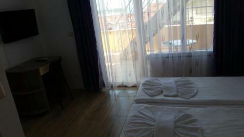 Hostal The Sea Lions Guest House