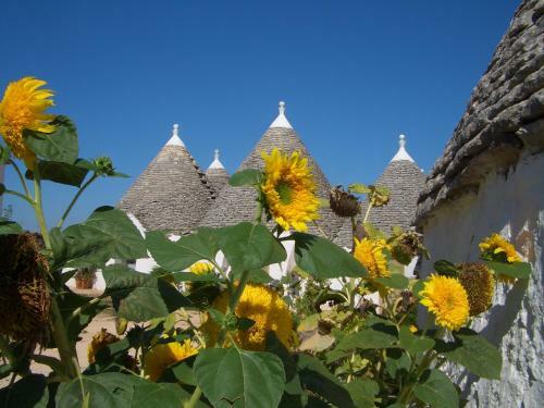 Agroturismo Masseria Pozzo Tre Pile