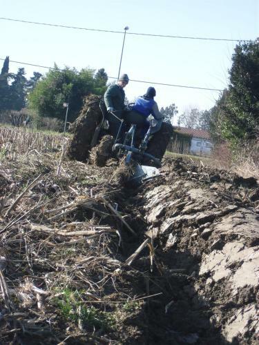 Agroturismo Settecentoalberi