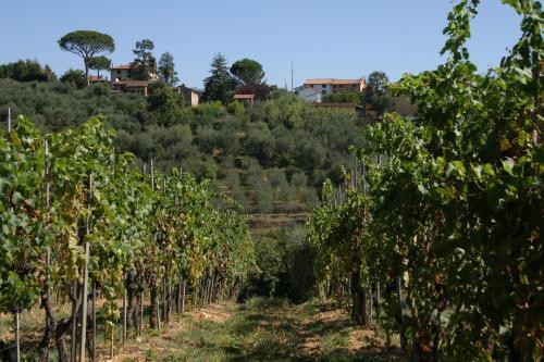 Villa Fontanino