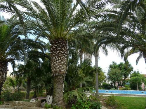 Hostal Villa Yucca