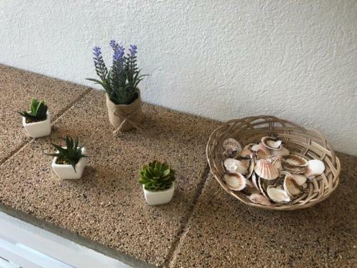 Apartman Mara