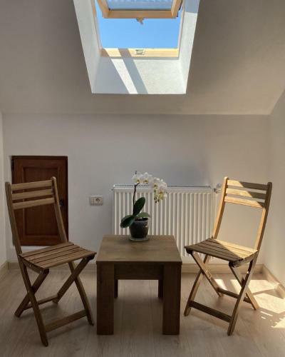 Hostal Vila San Nicoara